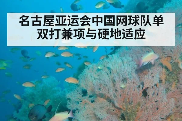 名古屋亚运会中国网球队单双打兼项与硬地适应